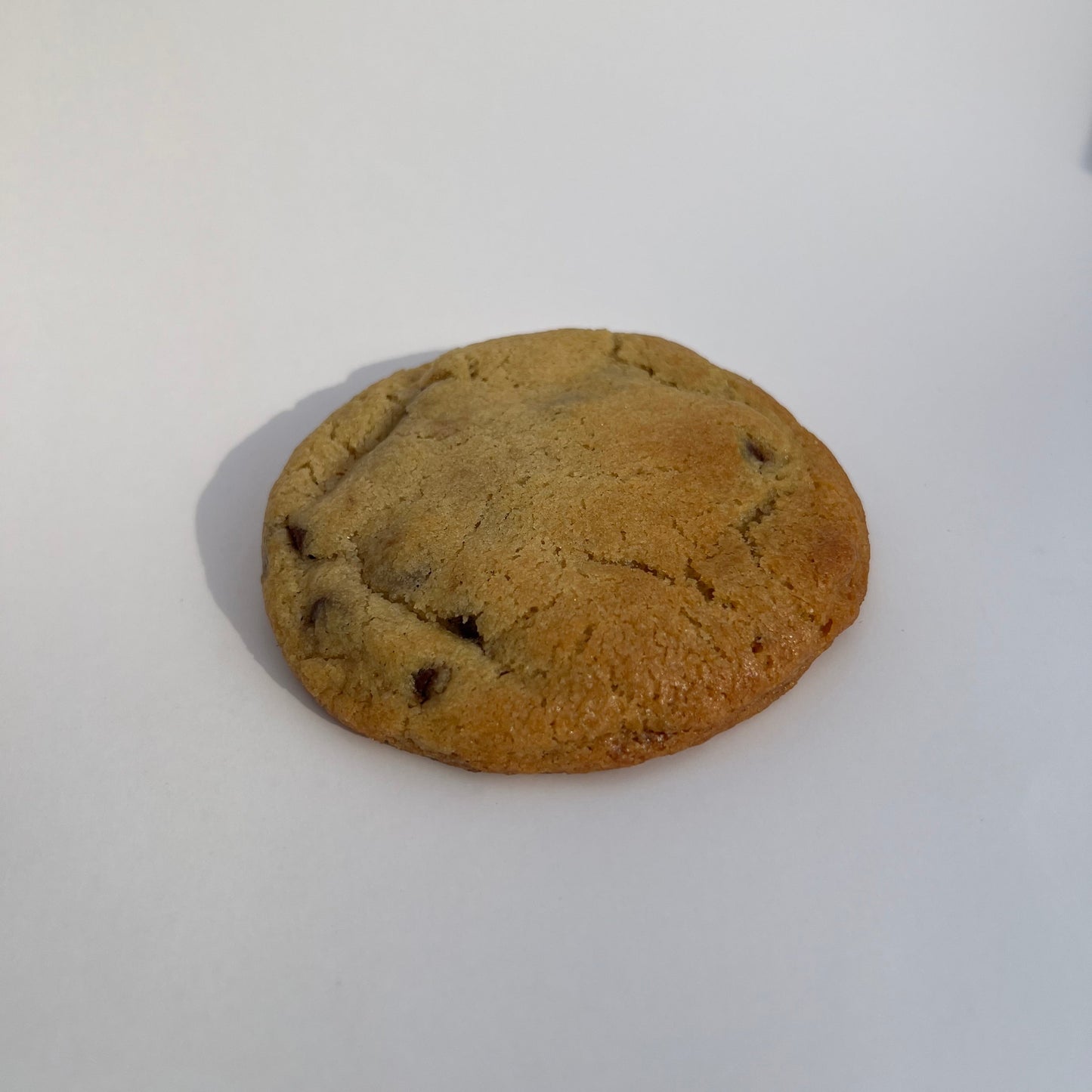 Chocolate Chip